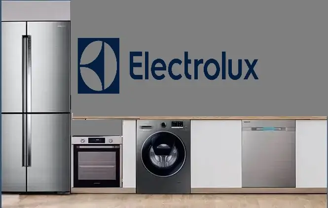 Bayrampaşa Electrolux servisi